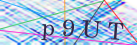No foi possvel carregar imagem de confirmao